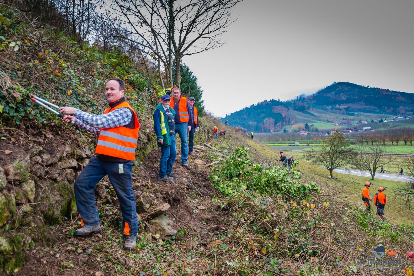 Herzenssache Natur: Landschaftspflege in Lautenbach.