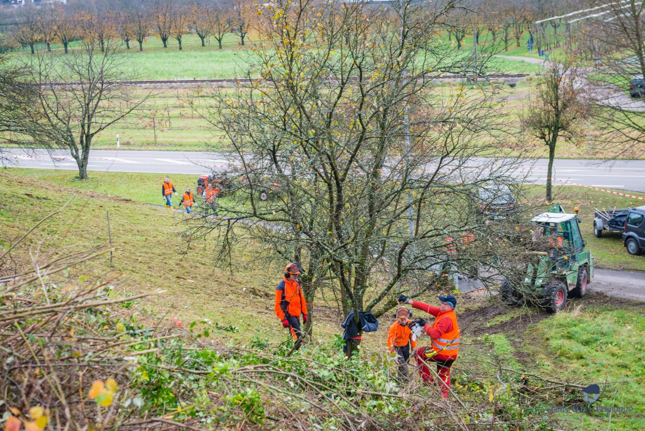 Herzenssache Natur: Landschaftspflege in Lautenbach.