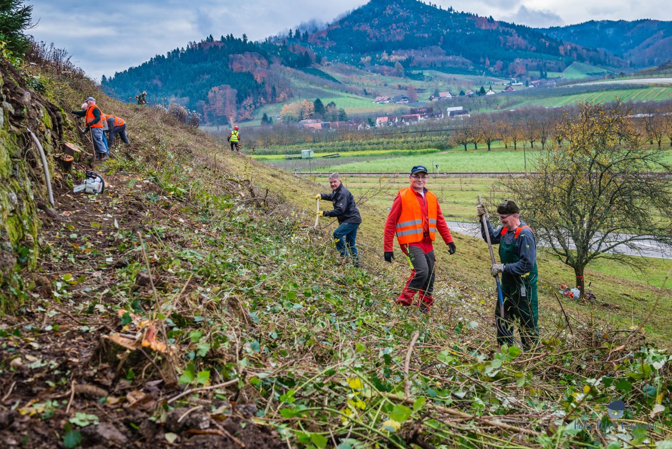 Herzenssache Natur: Landschaftspflege in Lautenbach.