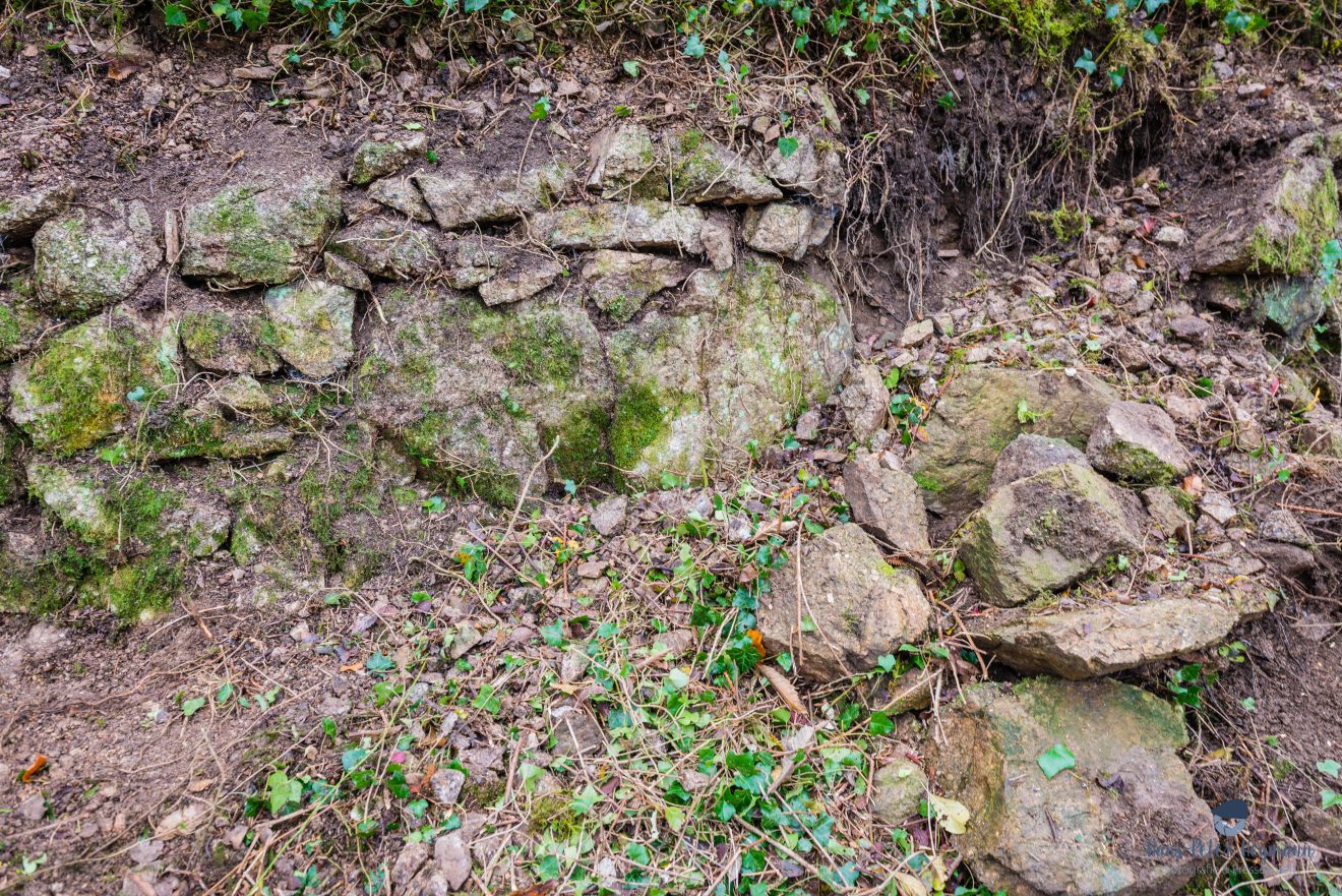Herzenssache Natur: Landschaftspflege in Lautenbach.