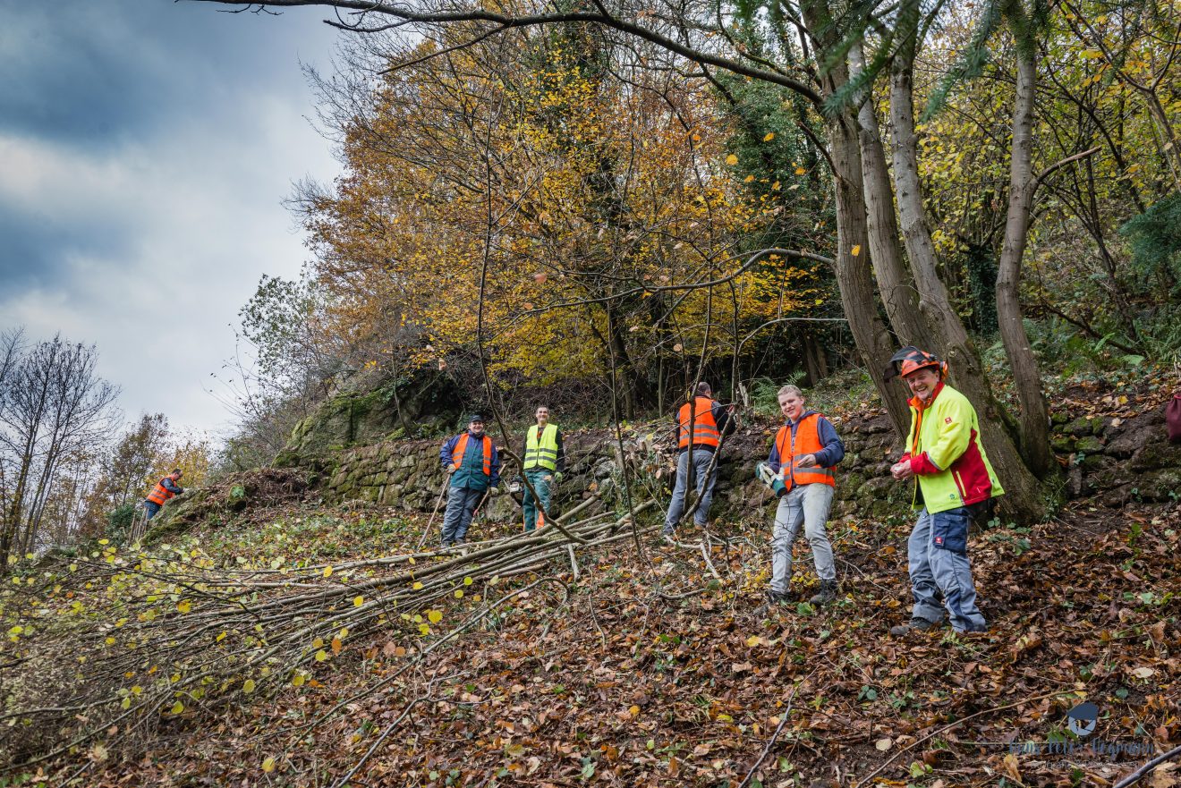 Herzenssache Natur: Landschaftspflege in Lautenbach.