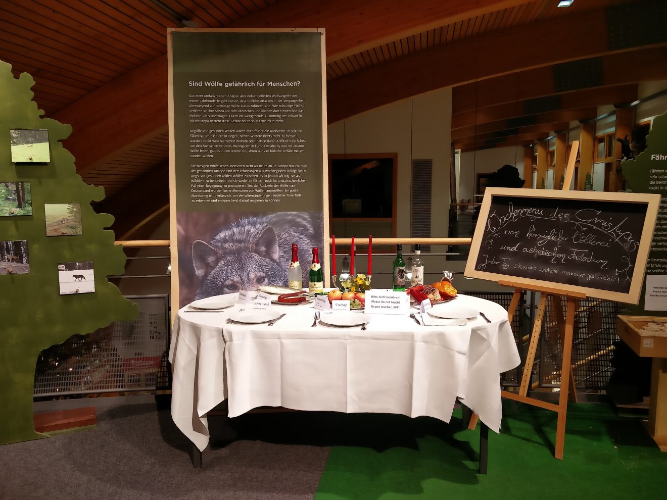 Ausstellung "Und wenn der Wolf kommt?" im Infozentrum Kaltenbronn