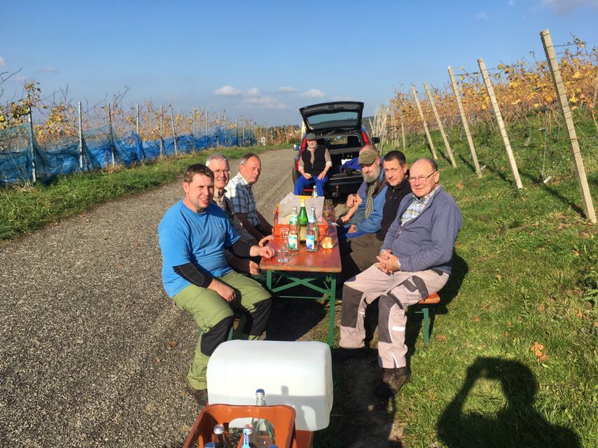 Riesling- und Beerenauslese bei der Baden-Badener Winzergenossenschaft