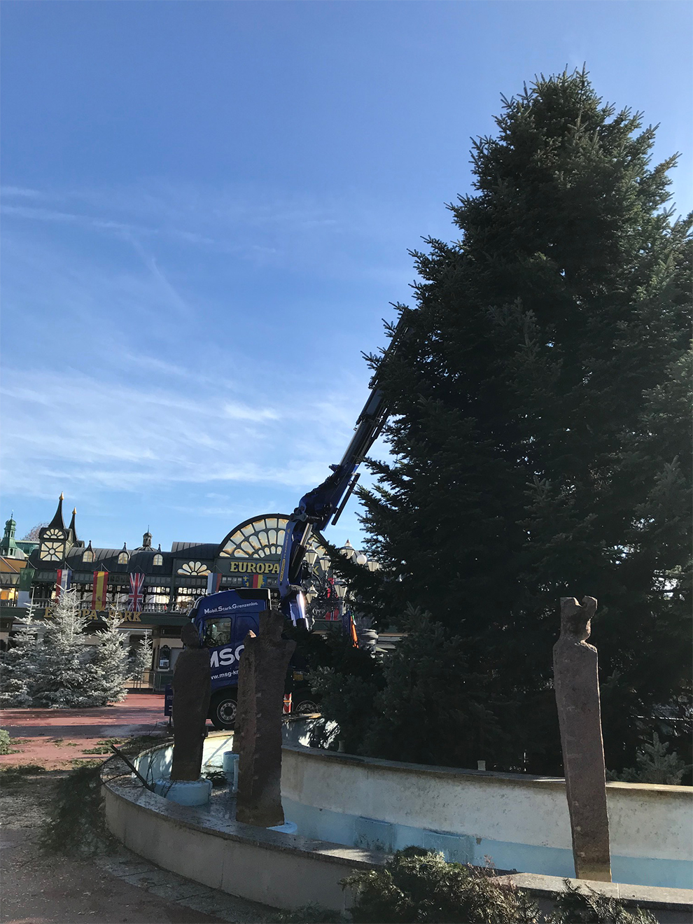 Naturpark Schwarzwald Blog, Tannenbaum vom Ramsteinerhof wird zum Weihnachtstraum vor dem Europapark