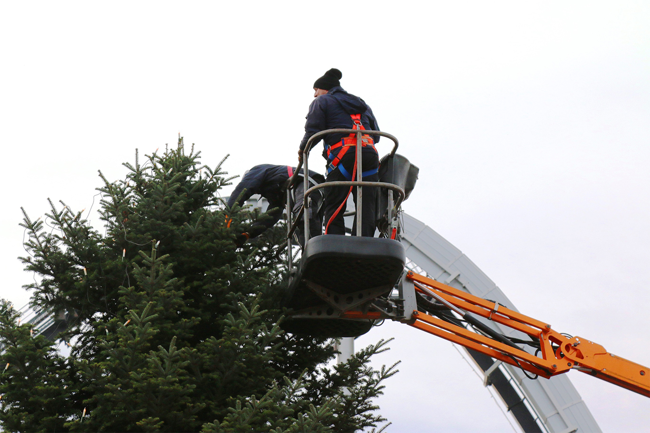 Naturpark Schwarzwald Blog, Tannenbaum vom Ramsteinerhof wird zum Weihnachtstraum vor dem Europapark
