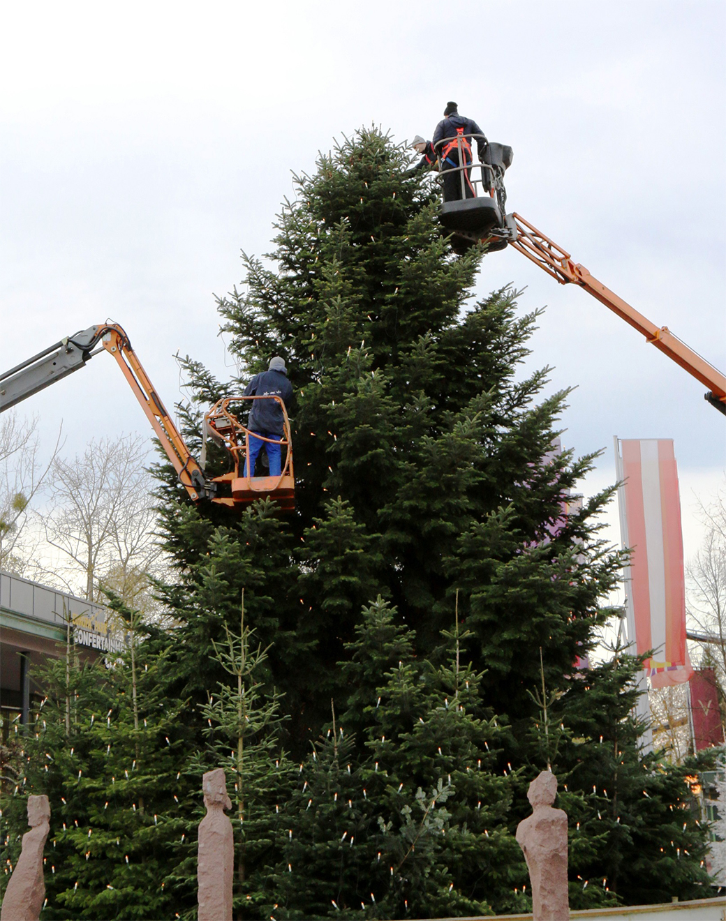 Naturpark Schwarzwald Blog, Tannenbaum vom Ramsteinerhof wird zum Weihnachtstraum vor dem Europapark