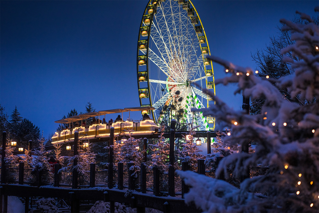 Naturpark Schwarzwald Blog, Tannenbaum vom Ramsteinerhof wird zum Weihnachtstraum vor dem Europapark