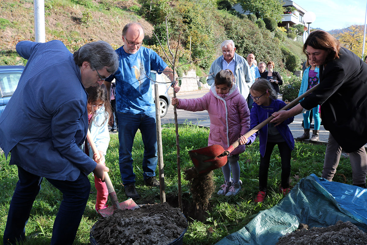 Naturpark Schwarzwald Blog, Naturpark-Schule: der Polizei-Apfelbaum wird gepflanzt
