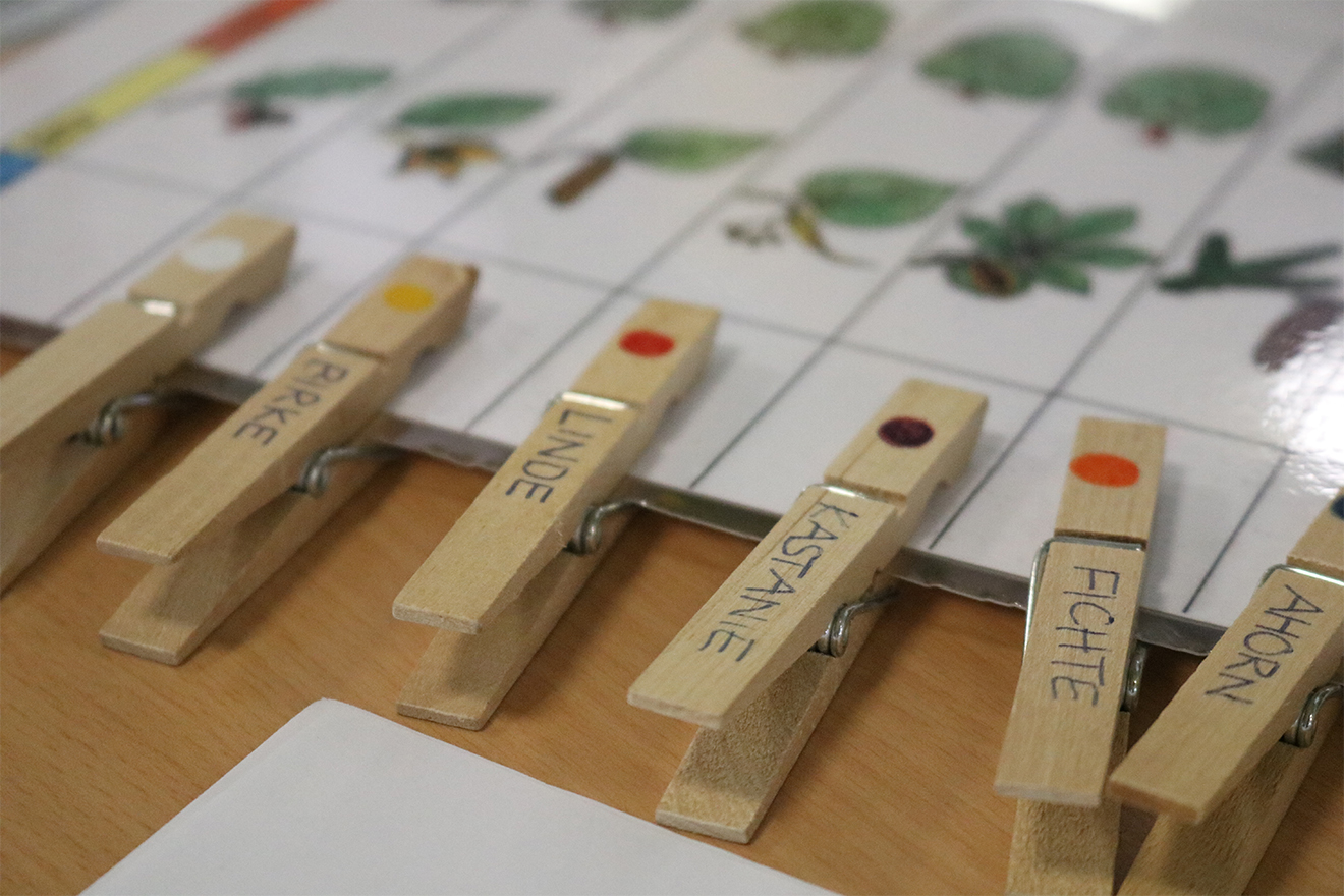 Naturpark Schwarzwald Blog, Naturpark-Schule: Schüler stellen ihre Projekte vor