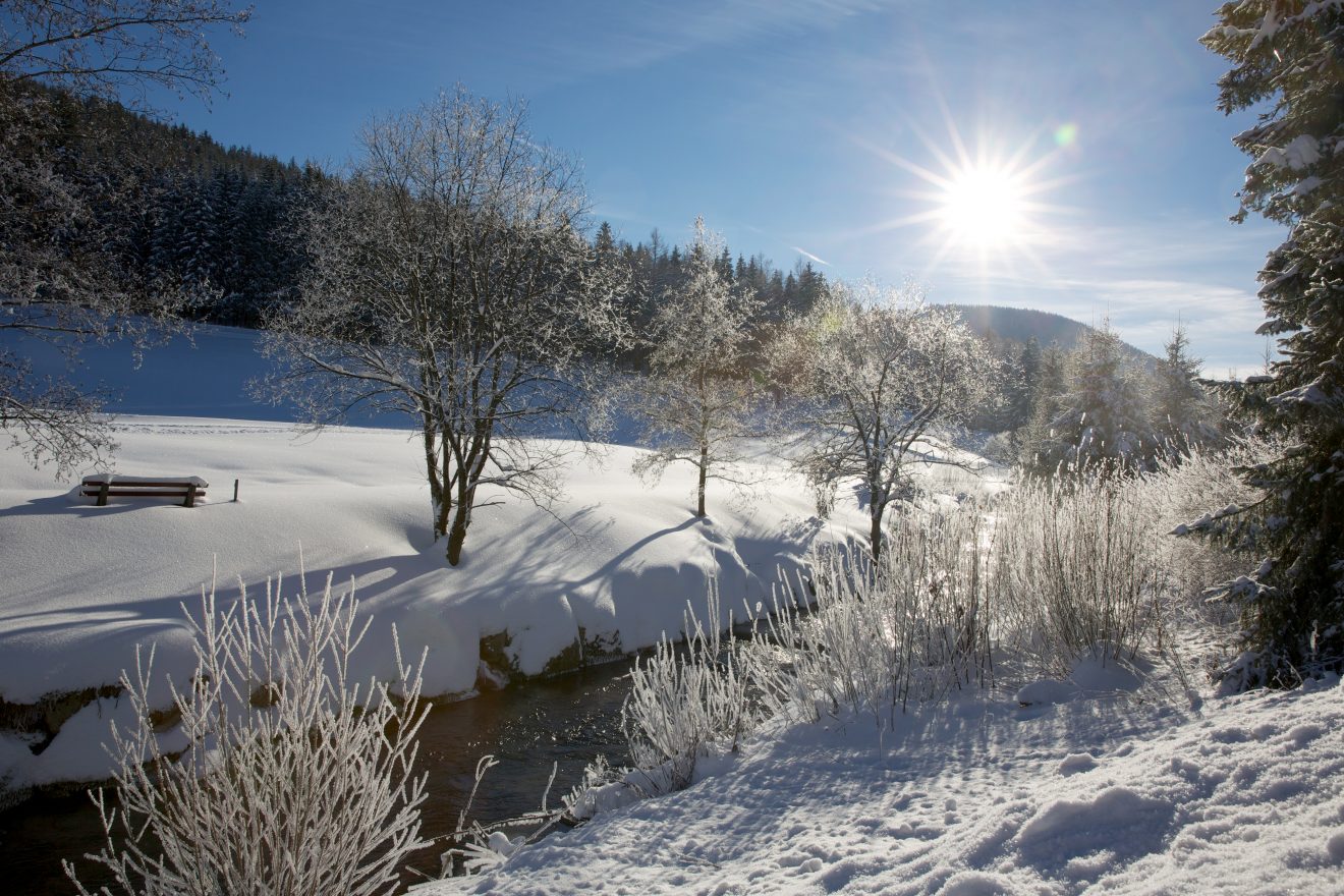 Winterwanderung ins Buhlbachtal