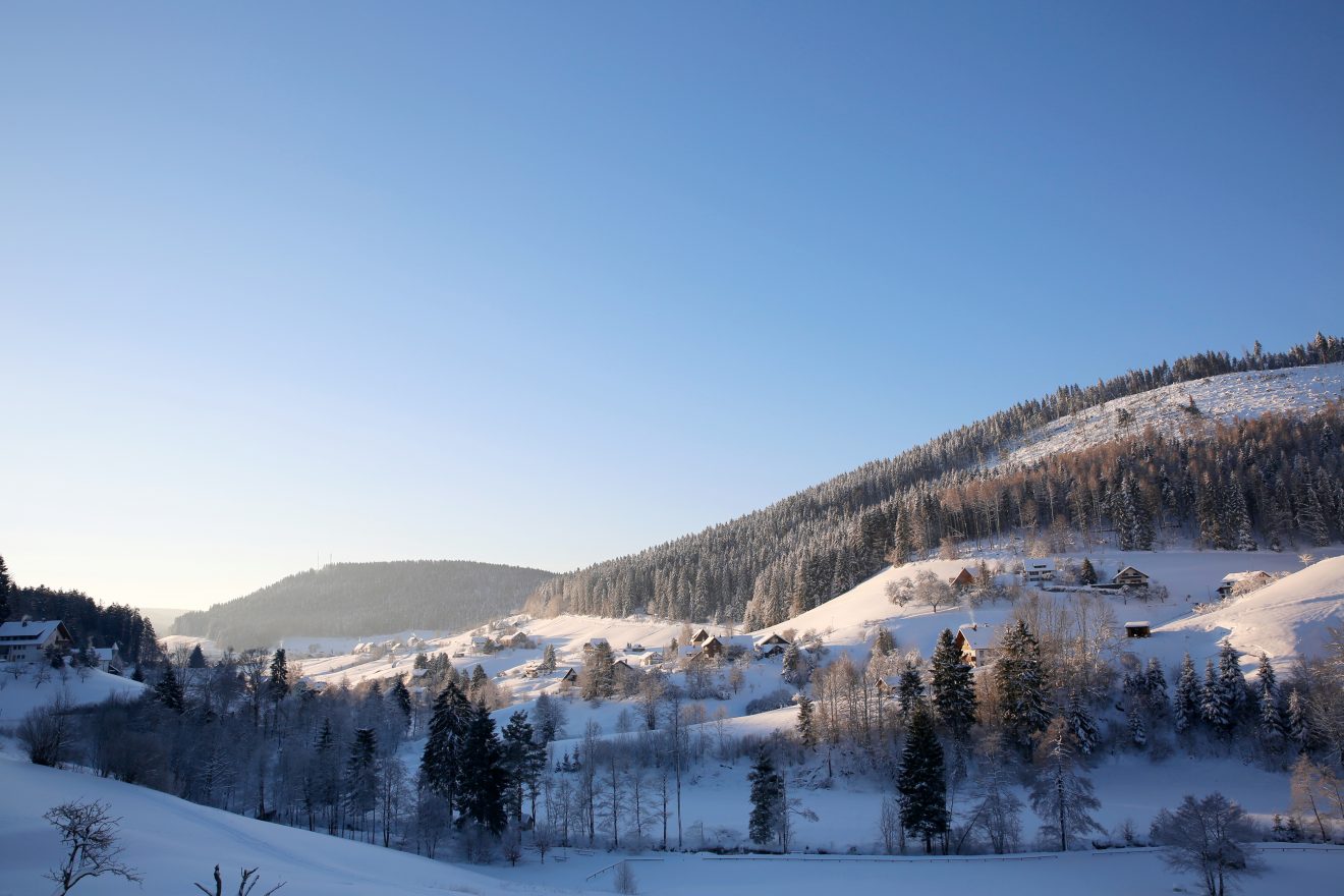 Winterwanderung ins Buhlbachtal