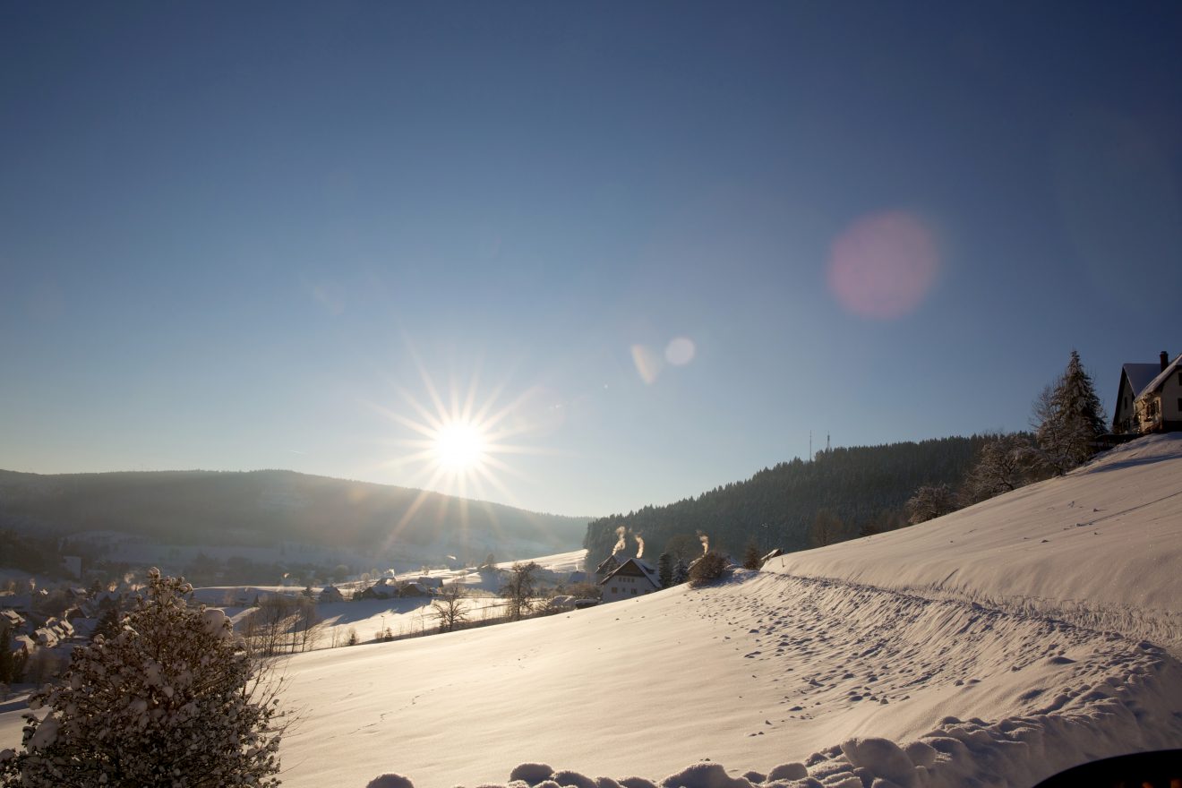 Winterwanderung ins Buhlbachtal
