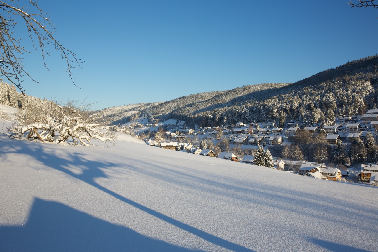 Winterwanderung ins Buhlbachtal