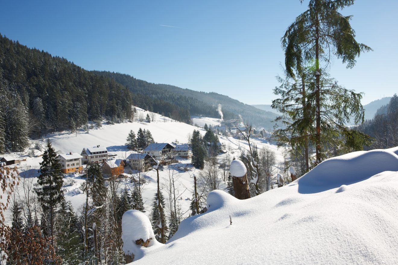 Winter Winterwanderung ins Buhlbachtal