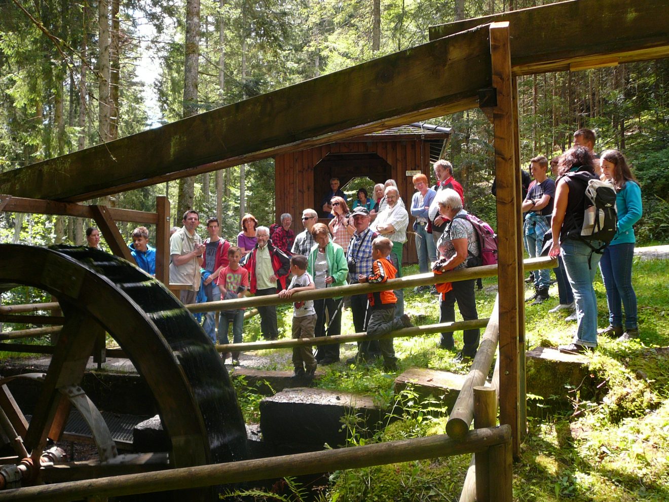 Touren durch den Naturpark Schwarzwald-Mitte Nord mit den Schwarzwald-Guides