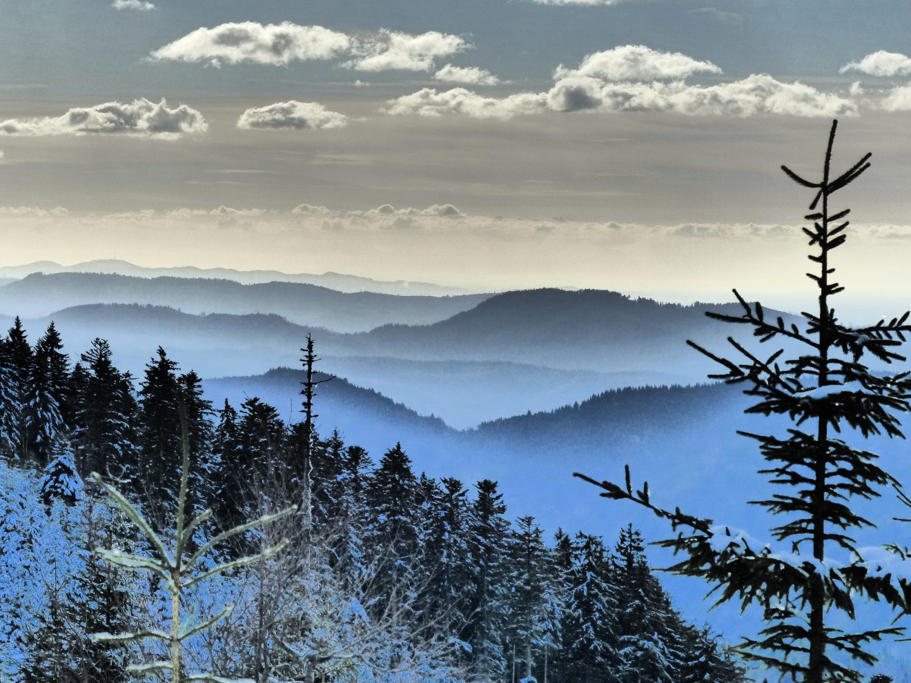 Winterfreizeit im Naturpark Schwarzwald Mitte/Nord