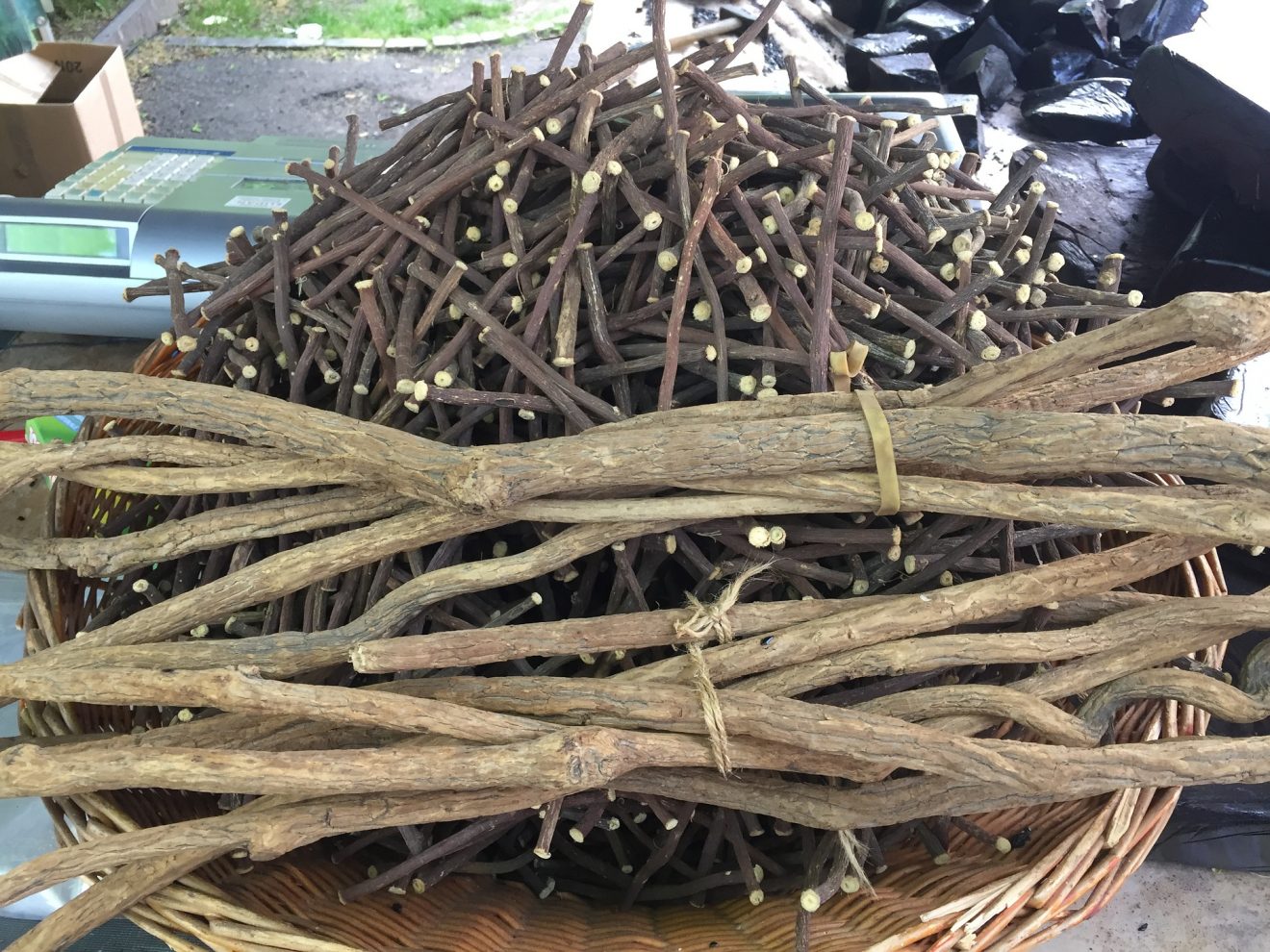 Dr. Kleins Heilkräuter - Süßholzwurzel