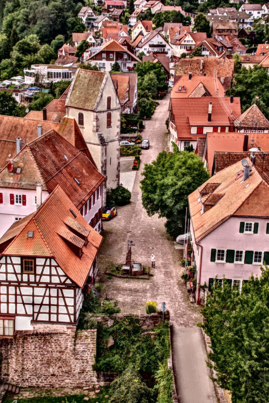 Wasser-, Wald- und Wiesenpfad