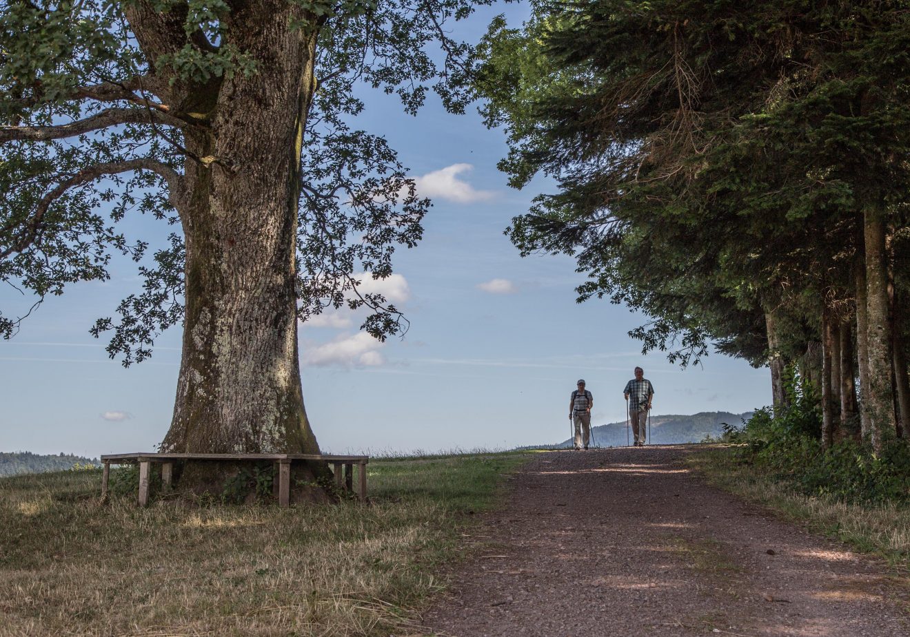 Hahn-und-Henne-Runde in der Ferienregion Brandenkopf