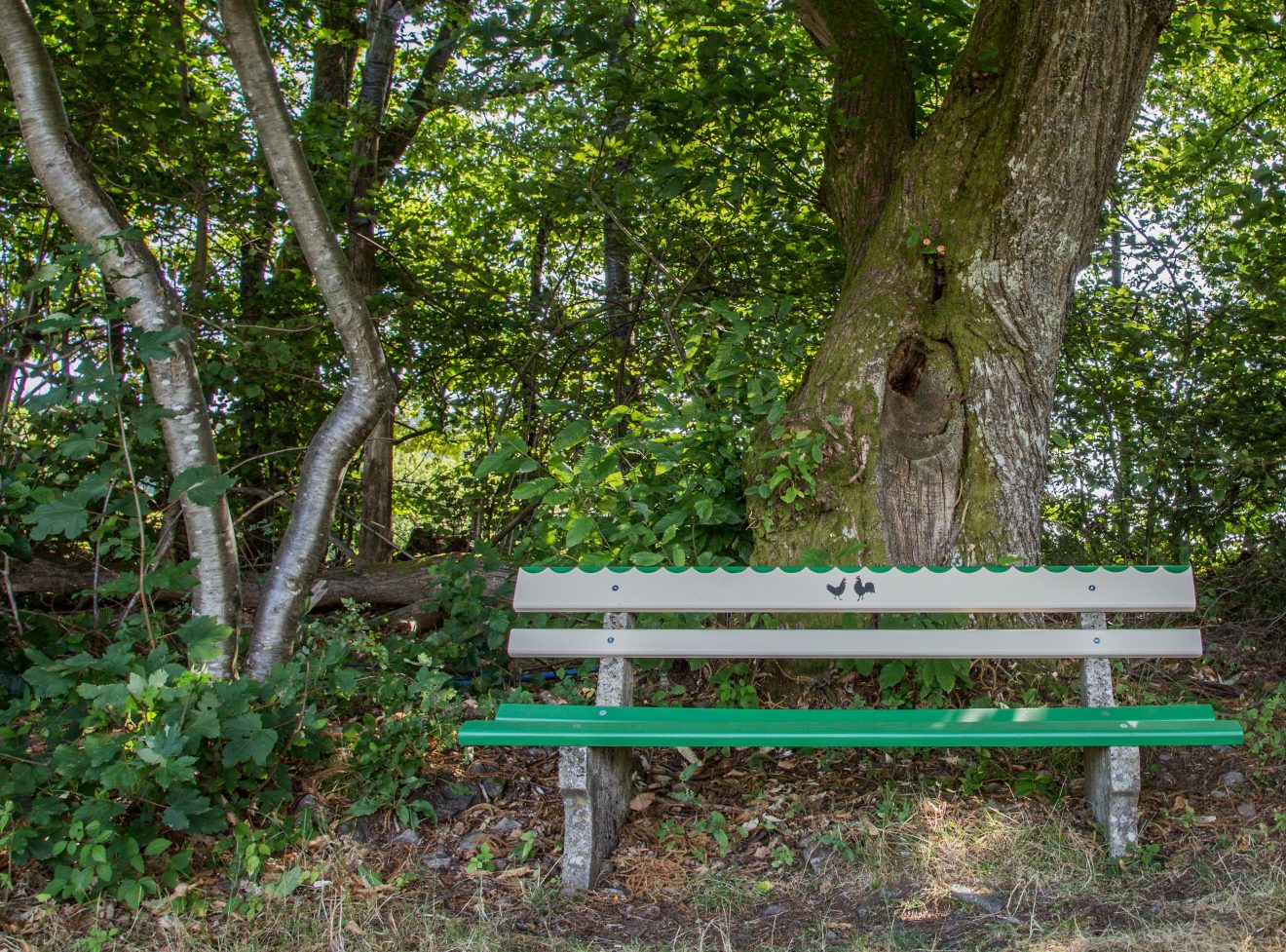 Hahn-und-Henne-Runde in der Ferienregion Brandenkopf