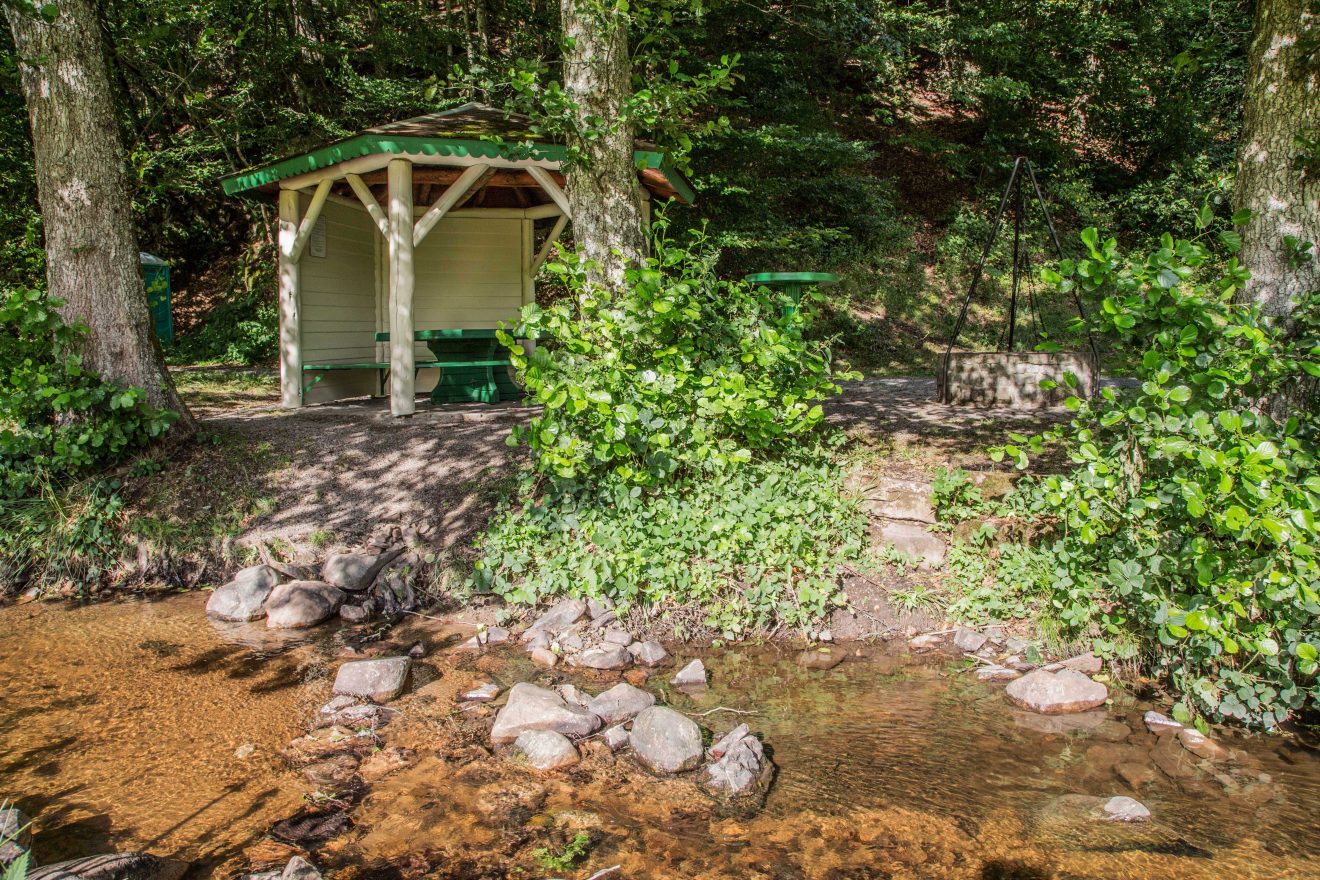 Hahn-und-Henne-Runde in der Ferienregion Brandenkopf