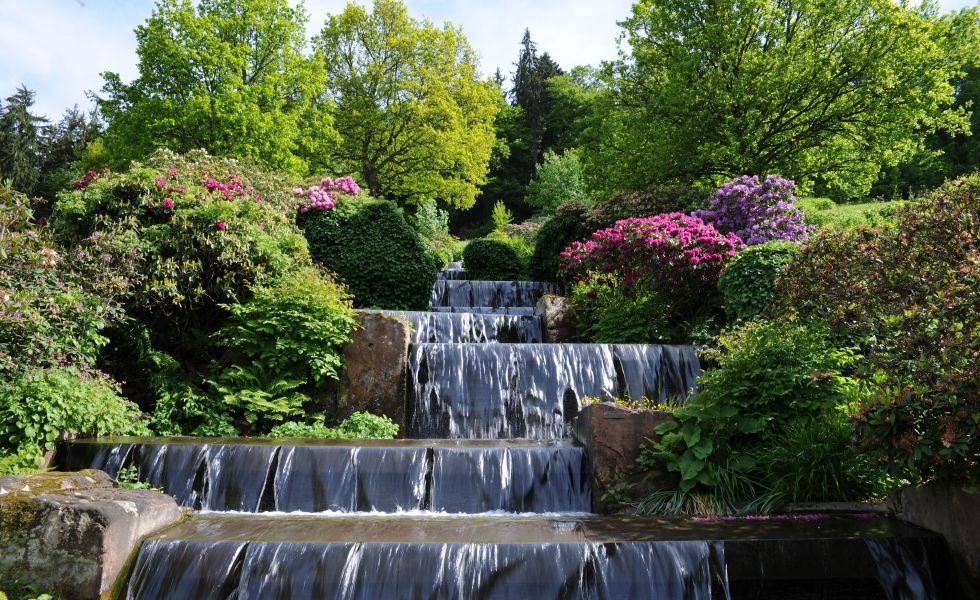 Frühlingsangebote Hotel Therme Bad Teinach