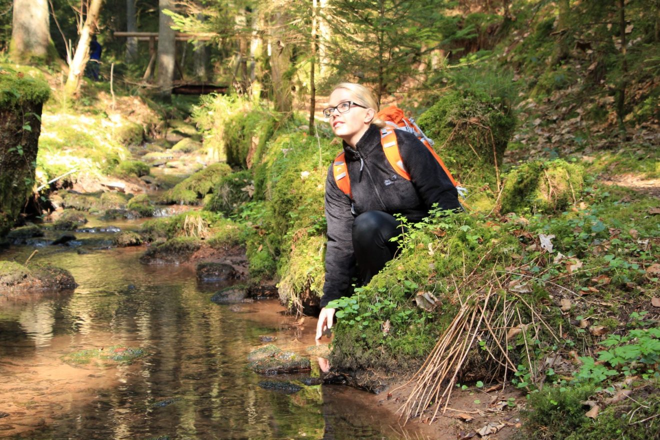 Wasser-, Wald- und Wiesenpfad