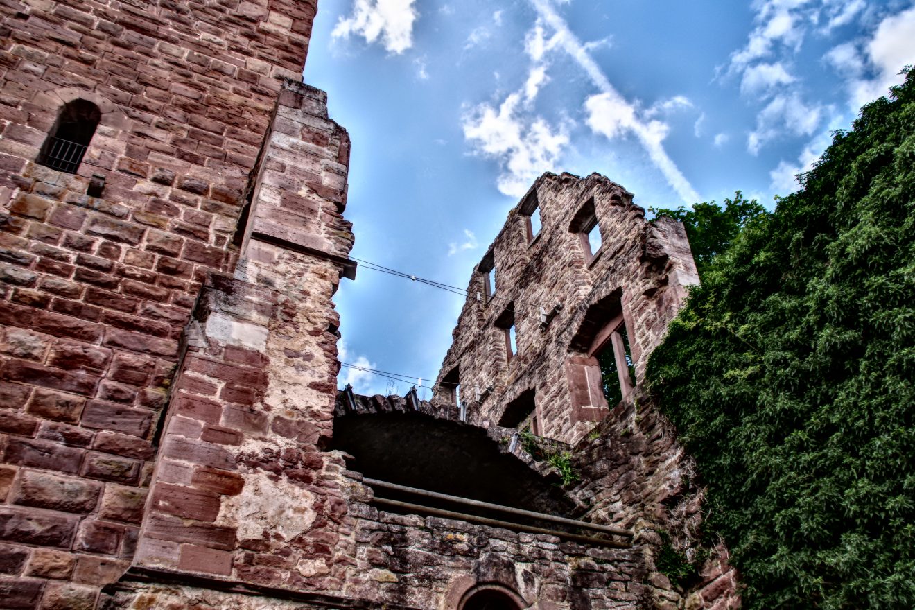 Wasser-, Wald- und Wiesenpfad