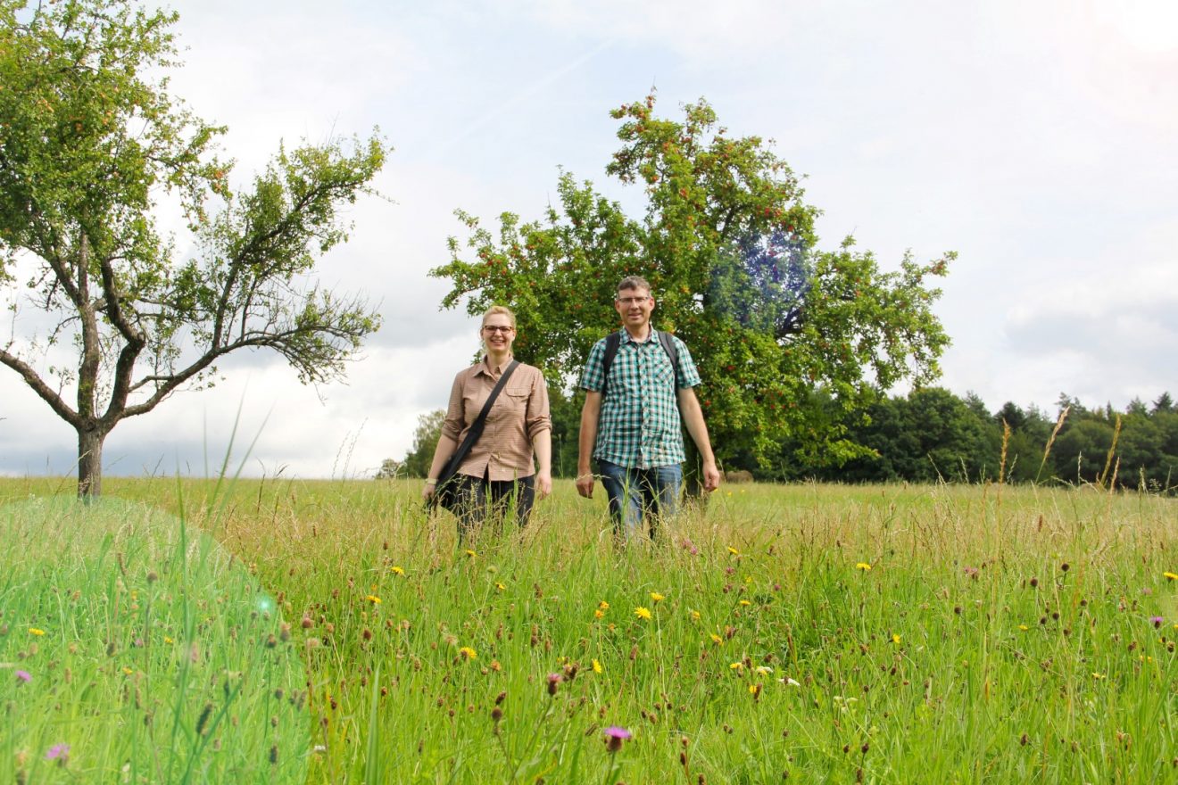 Wasser-, Wald- und Wiesenpfad