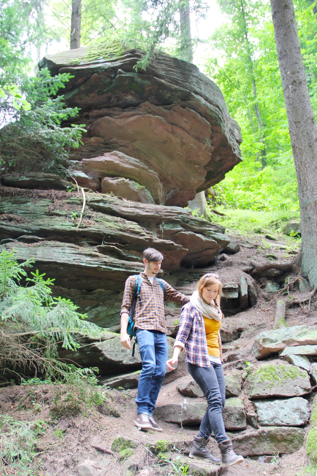 Wasser-, Wald- und Wiesenpfad