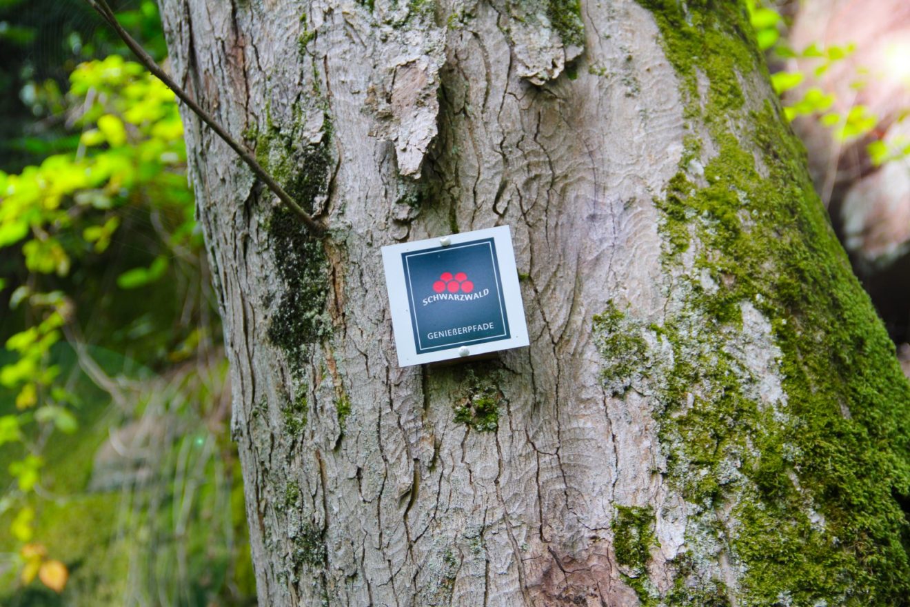 Wasser-, Wald- und Wiesenpfad