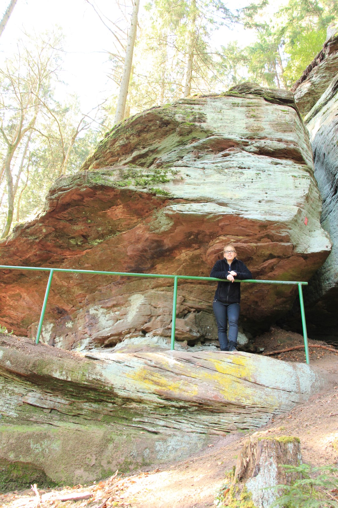 Wasser-, Wald- und Wiesenpfad