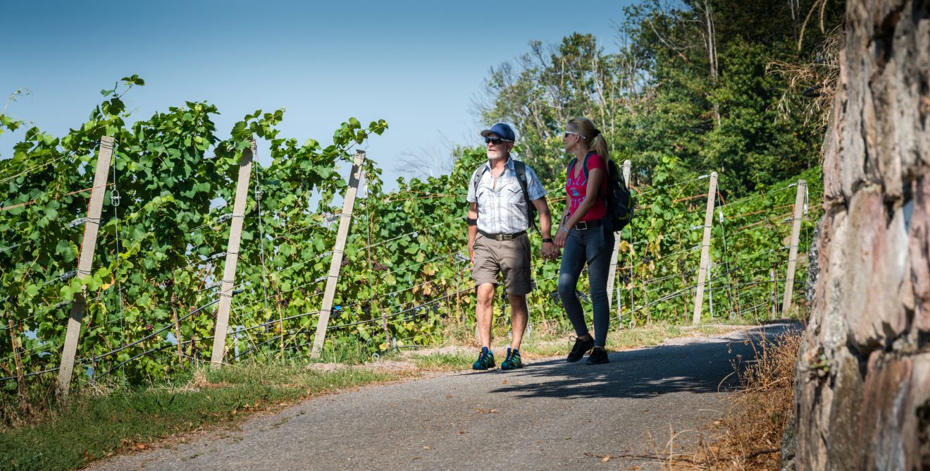 Naturpark-AugenBlick-Runde Sasbachwalden