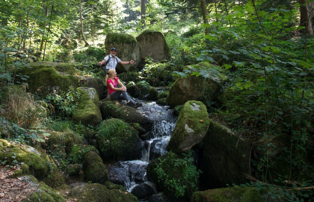 Naturpark-AugenBlick-Runde Sasbachwalden