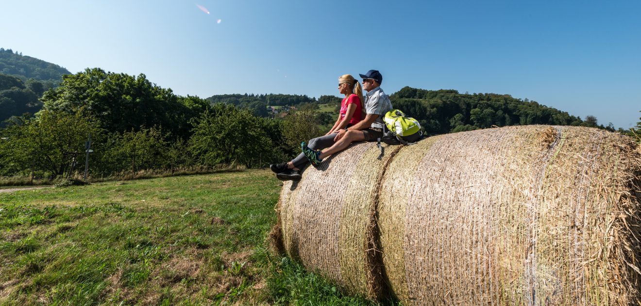 Naturpark-AugenBlick-Runde Sasbachwalden