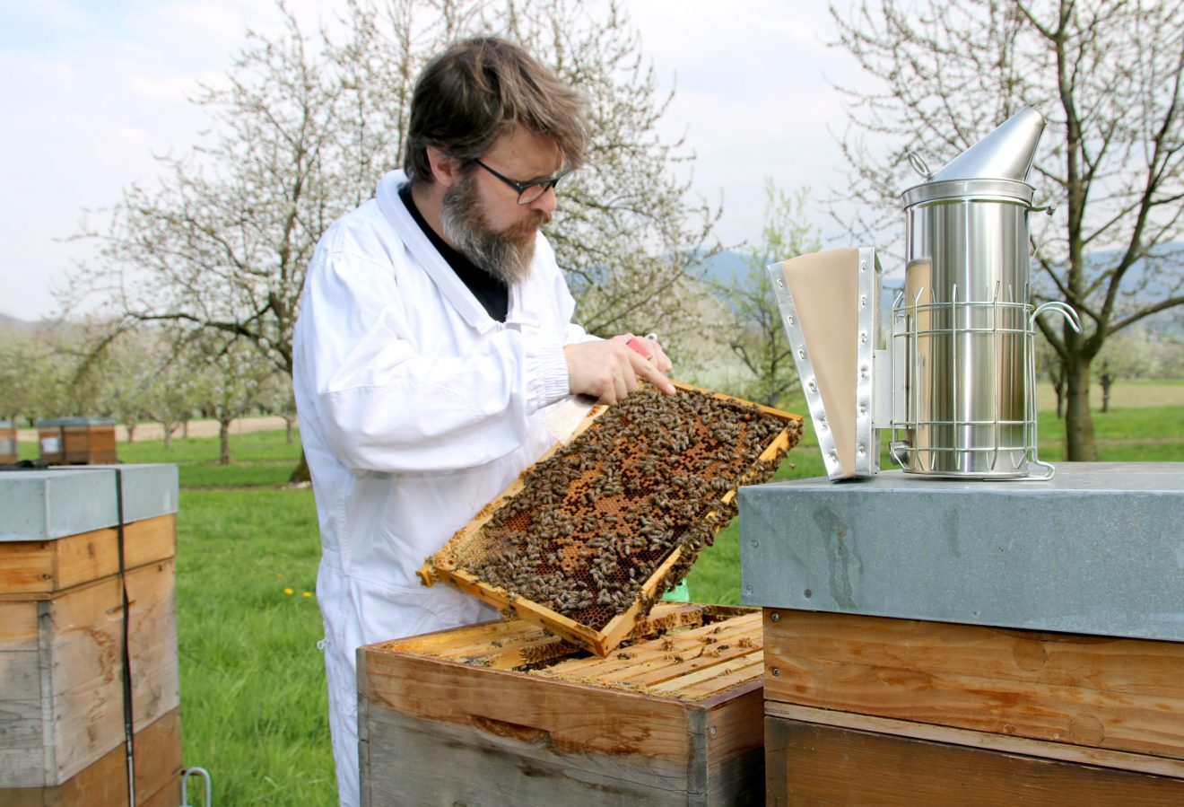 Bienen im Winter bei Cum Natura