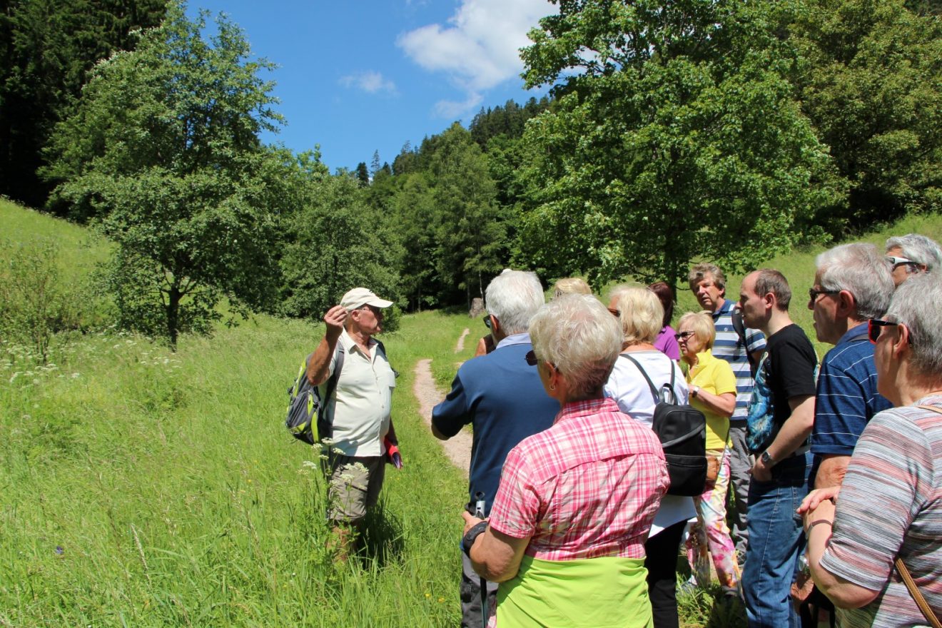 Kulinarische Wanderung Bad Teinach