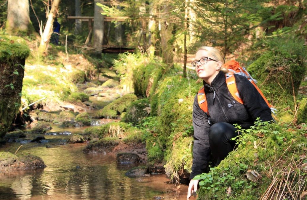 Naturpark-Schwarzwald-Blog_Wasser-Wald-Wiesenpfad_Calw_3W_Premiumwandern_IMG_7739 (Large)(c)_Teinachtal-Touristik-