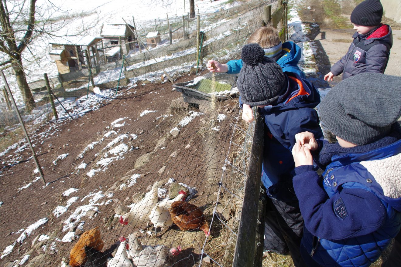 Auftakt Muh die Kuh in Baiersbronn auf dem Hinter-Jörgenhof
