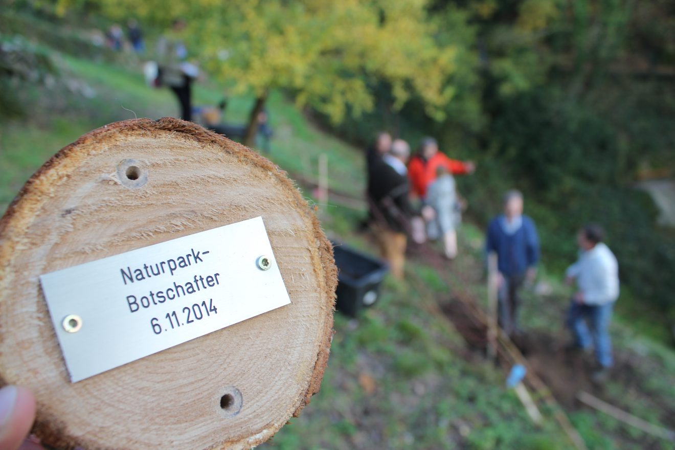 Andrea Rothfuss - erfolgreiche Paralympics-Athletin und Naturpark-Botschafterin