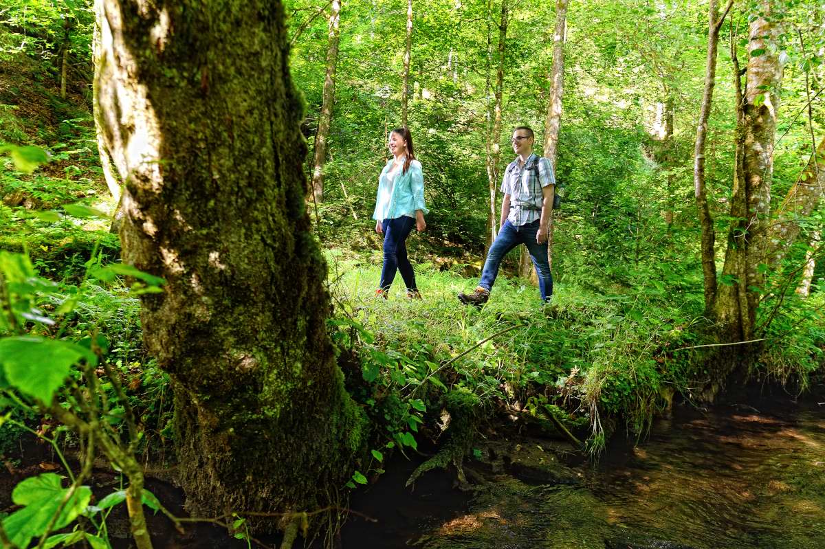 Premiumwanderweg und Genusspfad "Der Teinacher" in Bad Teinach-Zavelstein