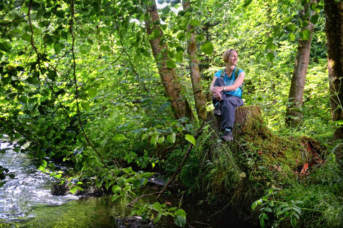 Premiumwanderweg und Genusspfad "Der Teinacher" in Bad Teinach-Zavelstein