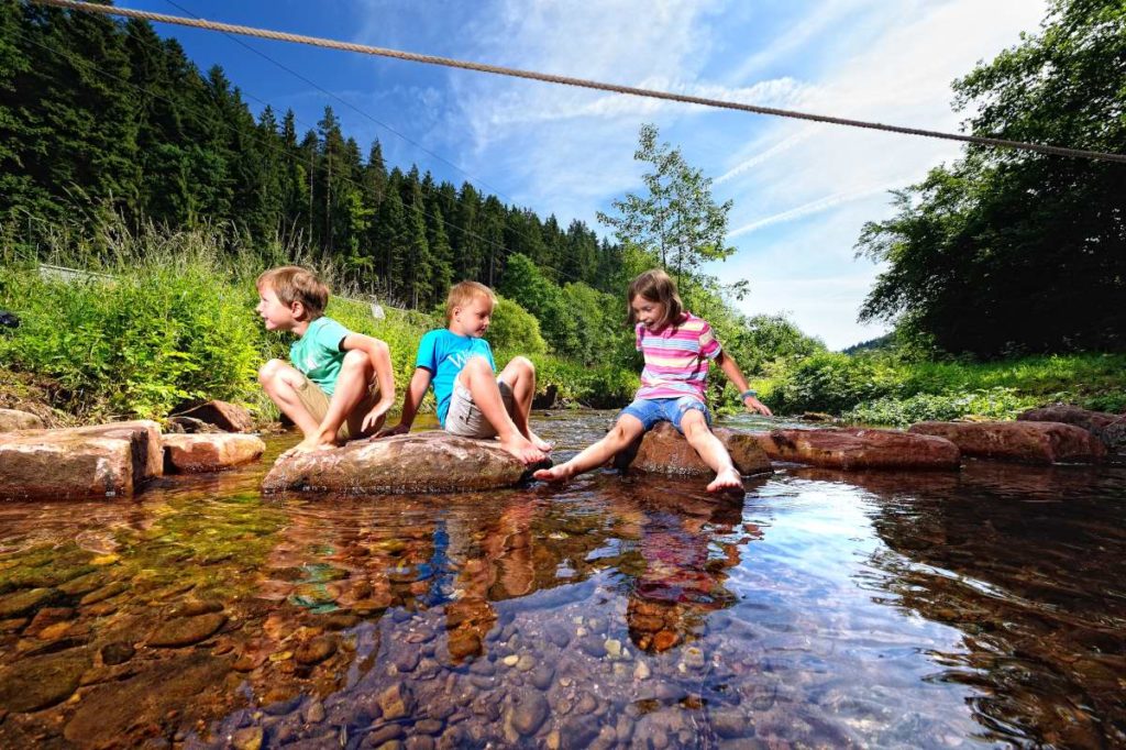 Premiumwanderweg und Genusspfad "Der Teinacher" in Bad Teinach-Zavelstein