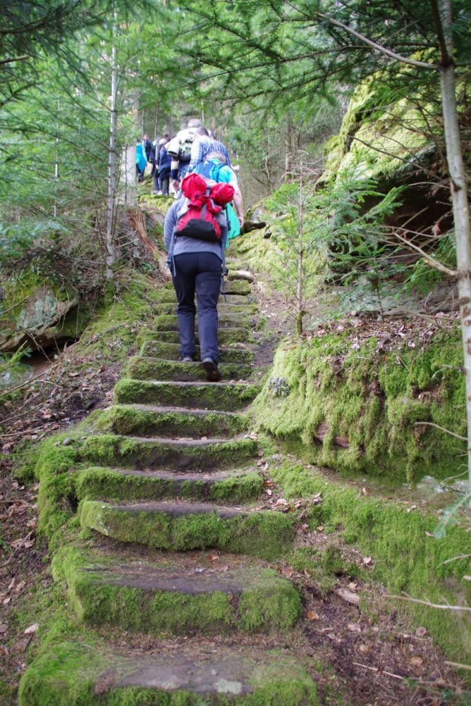 Premiumwanderweg und Genießerpfad "Der Teinacher" in Bad Teinach-Zavelstein