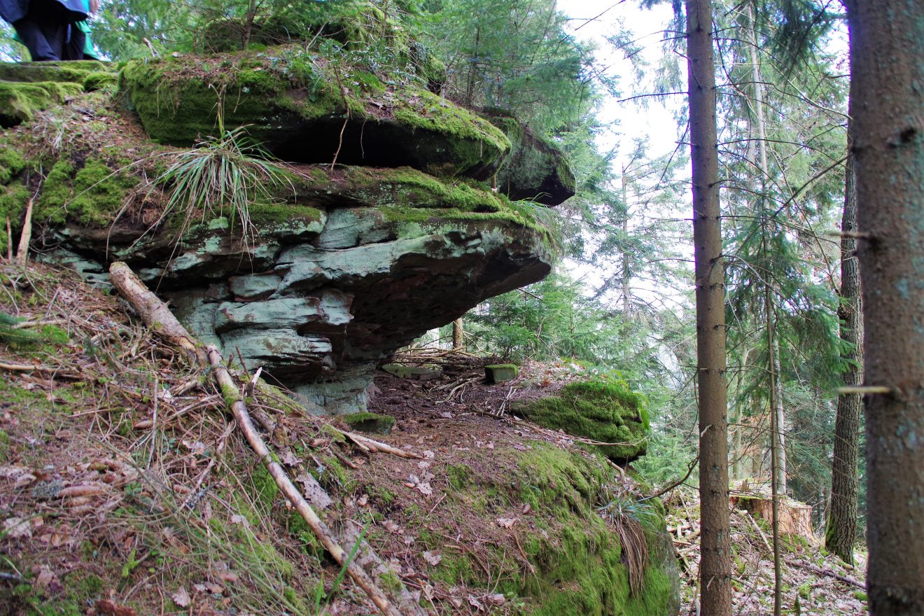 Premiumwanderweg und Genießerpfad "Der Teinacher" in Bad Teinach-Zavelstein
