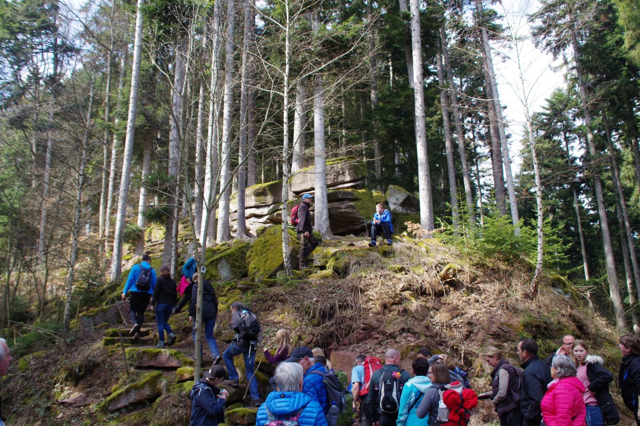 Premiumwanderweg und Genießerpfad "Der Teinacher" in Bad Teinach-Zavelstein