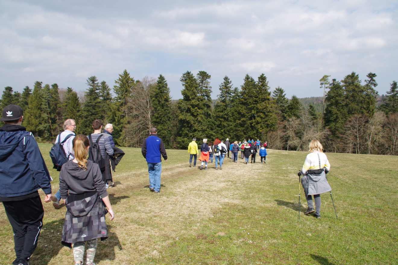 Premiumwanderweg und Genießerpfad "Der Teinacher" in Bad Teinach-Zavelstein