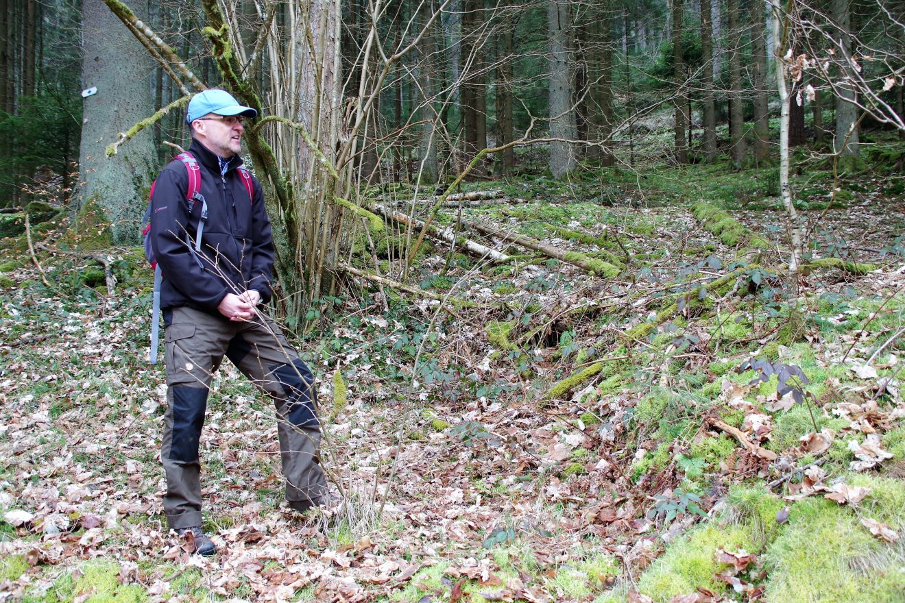 Premiumwanderweg und Genusspfad "Der Teinacher" in Bad Teinach-Zavelstein