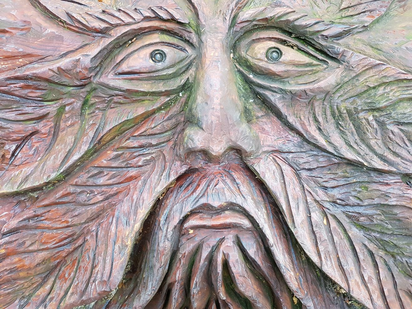 NaTour Gertelbachschlucht Bühlertal