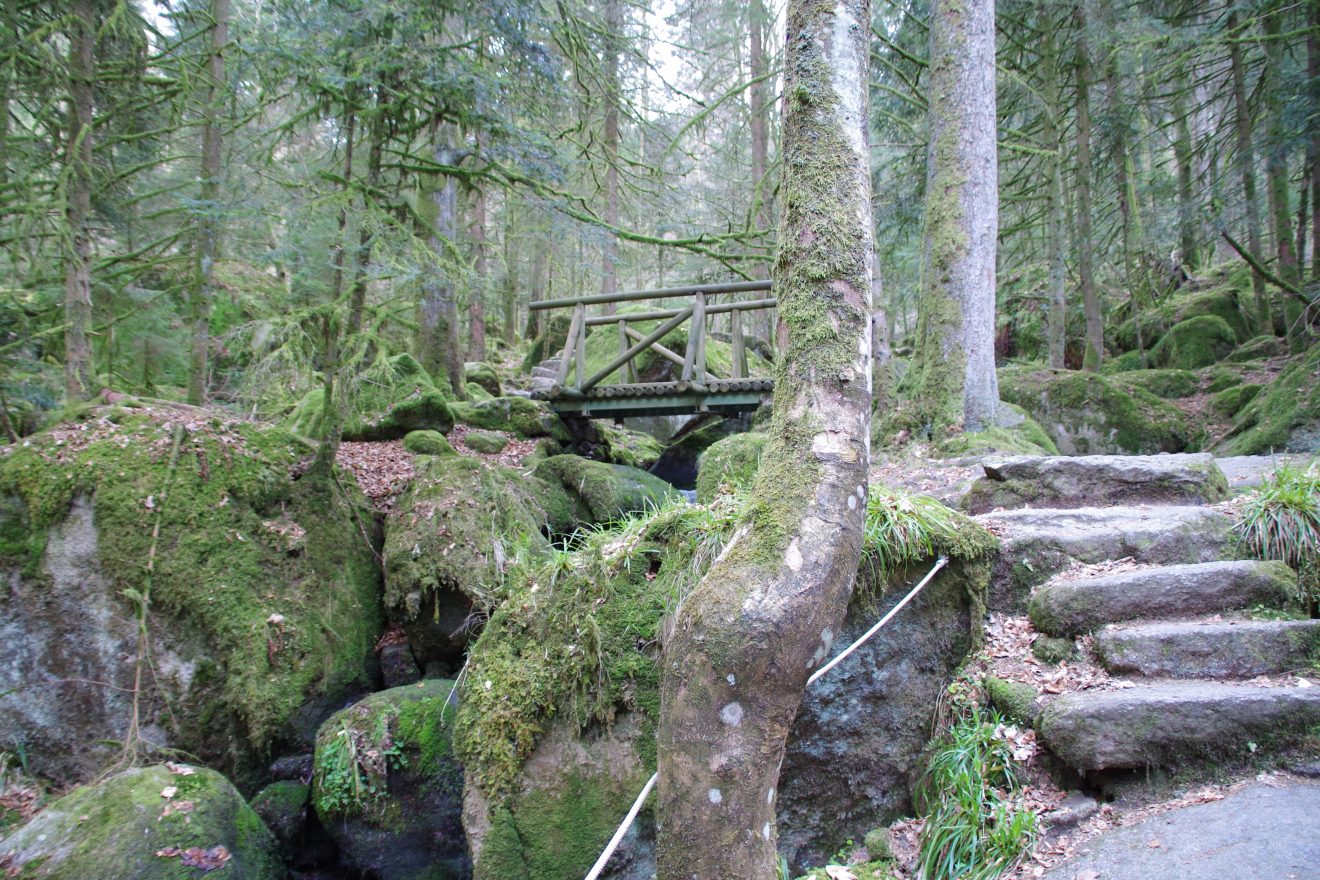NaTour Gertelbachschlucht Bühlertal